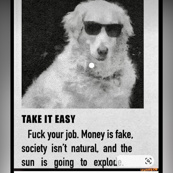 Meet your Posher, Lauren - Picture 2 of 4